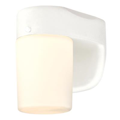 One-Light Dimmable LED Outdoor Wall Fixture