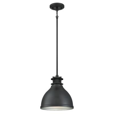 One-Light Indoor Pendant