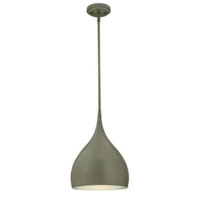 One-Light Indoor Pendant