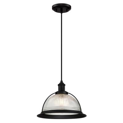 One-Light Indoor Pendant with