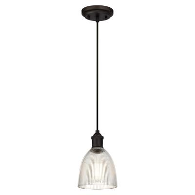 One-Light Indoor pendant