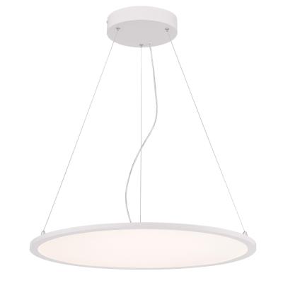 Atler LED Indoor Pendant
