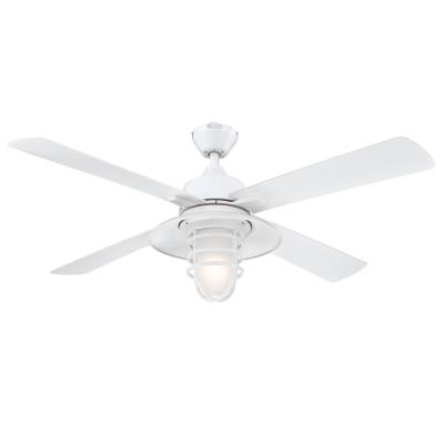 Great Falls 132 cm Outdoor Ceiling Fan with Light Kit